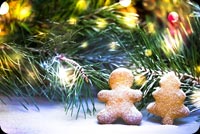 Christmas Tree & Cookies Mẫu Nền Thư
