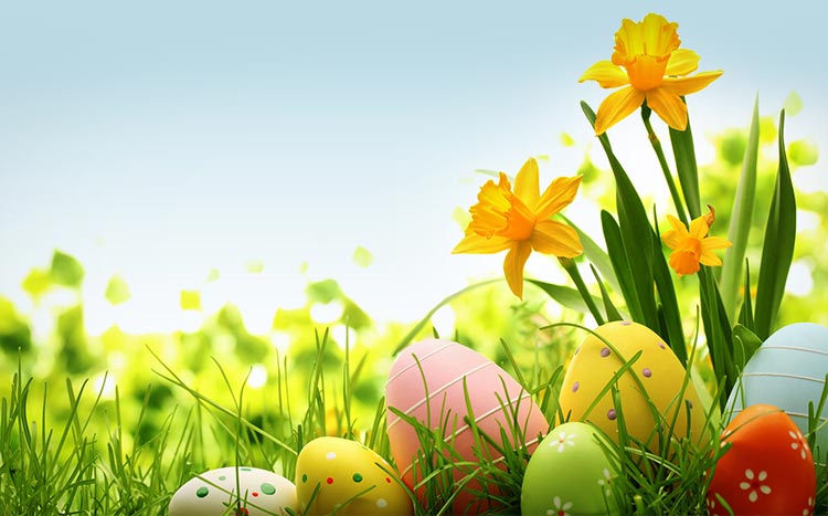Windows 8 Easter Eggs beautiful and colorful wallpaper collection 2013