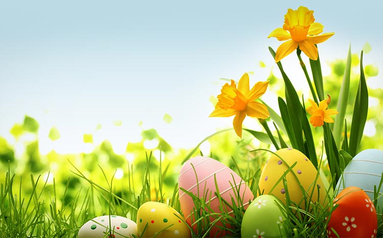 Khám phá với hơn 93 hình nền easter tuyệt vời nhất  Tin học Đông Hòa