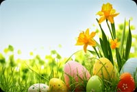 Trứng Easter & Hoa Vàng Đẹp Mẫu Nền Thư