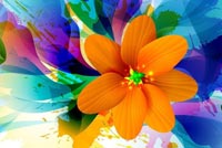 Sắc Màu Rực Rỡ Mẫu Nền Thư